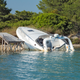 Image for article titled Drunk Threesome Leads to Crash, Broken Bones, National Security Risk